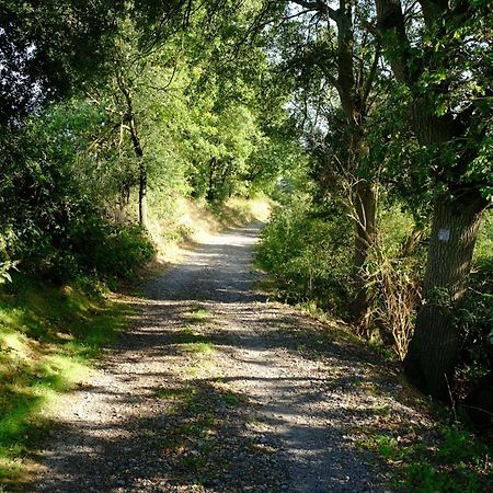 Ferienwohnung-Zum-Kueppchen Munstermaifeld Экстерьер фото