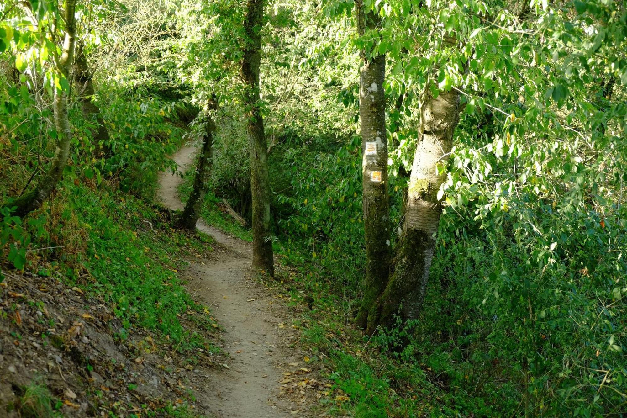 Ferienwohnung-Zum-Kueppchen Munstermaifeld Экстерьер фото